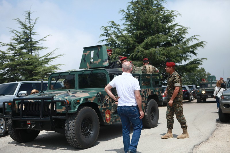 Cedar tree in memory of the Lebanese Commandos Regiment founder